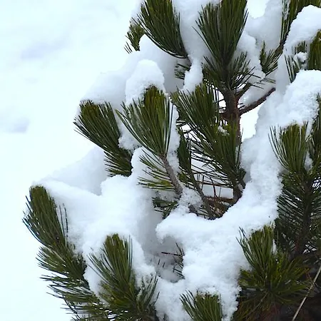 Sonnplatzl Kirchberg Appartement Kirchberg en Tyrol