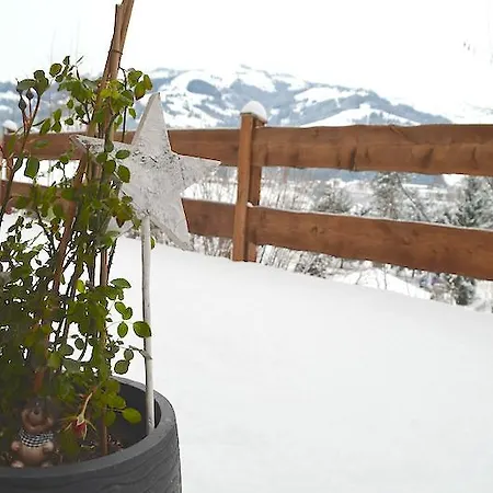 Appartement Sonnplatzl Kirchberg *