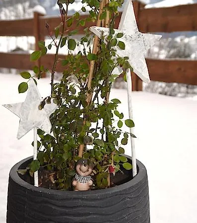 Sonnplatzl Kirchberg * Kirchberg in Tirol