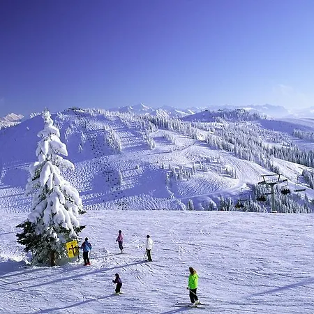 Daire Sonnplatzl Kirchberg Kirchberg in Tirol