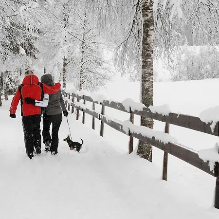 Sonnplatzl Kirchberg *