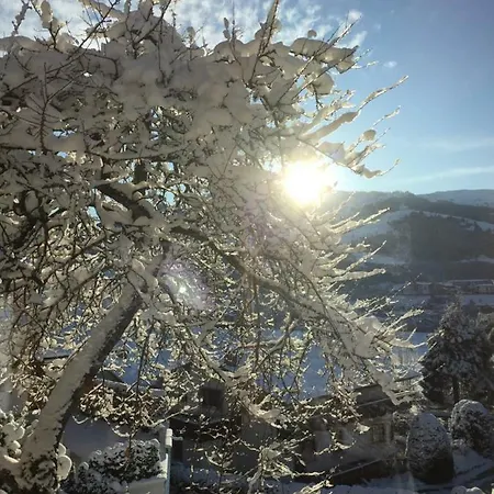 Daire Sonnplatzl Kirchberg Kirchberg in Tirol